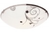 Floral Patterned Glass Ceiling Fitting with Chrome Clips Photo