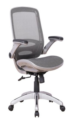 Photo of Dylan Task Mesh Chair - Silver