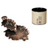 Metal Incense Burner Holder Lotus Waterfall Censer Aromatherapy Crafts Photo