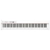 KORG D1 Digital Piano in White Photo