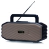 MCE-001 Wireless Speaker With Adjustable Antenna Photo