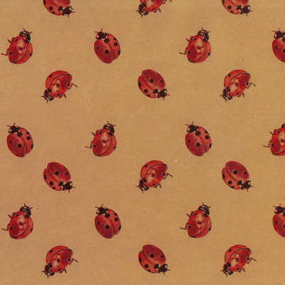 Photo of Gift Wrapping Paper 5m Roll - Ladybird on Brown Kraft