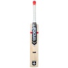 Focus Cricket - Raw - Select - Short Handle Photo