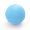 Medalist Pure 65cm Gym Ball Photo