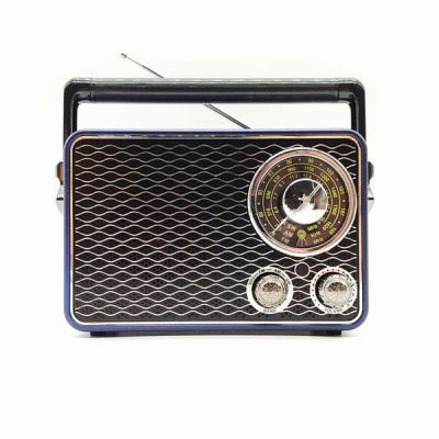 Photo of JRY FM/AM/SW 3 Band Radio with USB/TF/BT/AUX Speaker - Metallic Blue