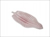 Pink Leaf Plate Photo