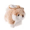 Plush Bunny 27cm Photo