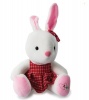 Plush Bunny - 24cm Photo