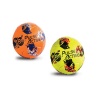 Bulk Pack X 2 Mini Beach Soccer Ball Photo