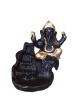 Soul Array Ganesh Backflow Incense Burner & White Sage Cones Photo