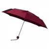 Ladies Regular Umbrella Photo
