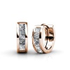 Destiny Abby hoop Earrings with Swarovski® Crystals Photo