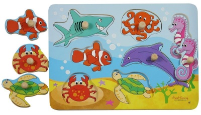 Photo of RGS Group Under Water Peg Puzzle