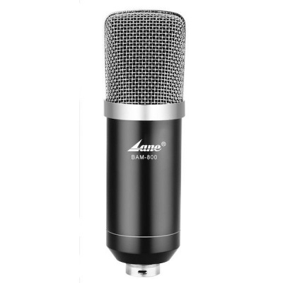 Photo of LANE BAM-800 Studio Condenser Microphone