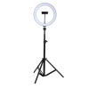 25cm Dimmable LED Ring Light Lamp With 52.5cm Light Stand Light Kit Photo