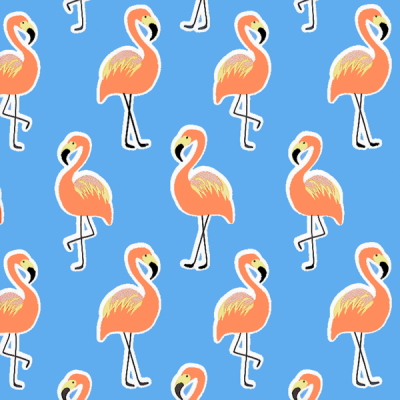 Photo of Gift Wrapping Paper 5m Roll - Flamingo On Blue