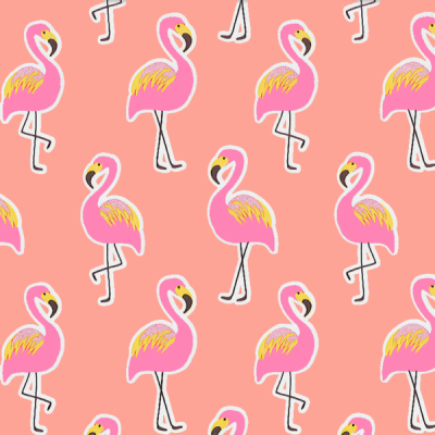 Photo of Gift Wrapping Paper 5m Roll - Flamingo On Coral