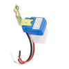 220V Day And Night Switch Photo
