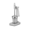 Manual Fruit Juicer Photo