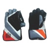 Admiral Cricket Club Wicket Keeper Gloves - Youth Photo