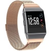 Fabulously Fit Fitbit Ionic Metallic Strap Photo