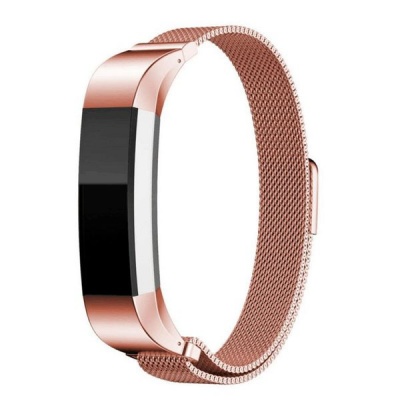 Photo of Fabulously Fit Fitbit Alta HR Metallic Strap