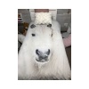 Snow Horse Duvet Cover Set by Imaginate DÃ©cor Photo
