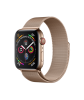 Apple Fabulously Fit Watch 38/40mm Metallic Strap Photo