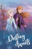 Frozen 2 - Destiny Awaits Poster Photo