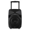 Amplify Spartan Series 15" Bluetooth Party Speaker Photo