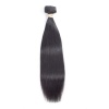 Beau Diva 20 inches Human Hair straight weaves Single Bundle Photo