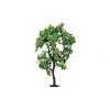 Hornby - Pear Tree - Scale Model Photo