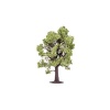 Hornby - Beech Tree - Scale Model Photo