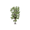 Hornby - Horse Chestnut Tree - Scale Model Photo