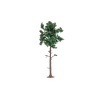 Hornby - Large Pine Tree - Scale Model Photo