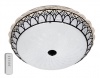 Bright Star Lighting 24 Watt LED and RGB Colour Changing Gold Ceiling Fitting Photo