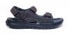 Carrera - CAA919005-02 - Oceanic Photo