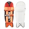Puma Evo 3 Batting Pads Photo