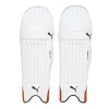 Puma Evo 1 Batting Pads Photo