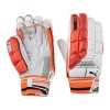 Puma Evo 1 Batting Gloves Photo