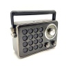 JRY FM/AM/SW 3 Band DSP Radio with USB/TF/BT Speaker Photo