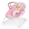 Bright Starts Fancy Fantasy Vibrating Bouncer Photo