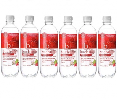 Photo of Buchulife Sparkling Herbal Water - Buchu & Cranberry - 6 Pack