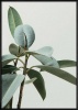 Boluo Framed Canvas Mount - Life Goes On - 426 x 600mm Photo