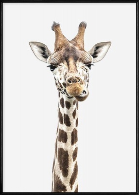 Photo of Boluo 240g Quality Nordic Framed Wall Art - Standing Tall