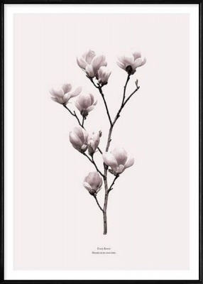 Photo of Boluo 240g Quality Nordic Framed Wall Art - Every Flower Blooms