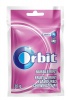 Orbit Bubblemint Bags 22x35g Photo