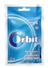 Orbit Peppermint Bags 22x35g Photo