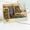 Beeztees Wooden Rodent Labyrinth Photo