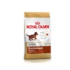 Royal Canin Dachshund Puppy Junior Photo